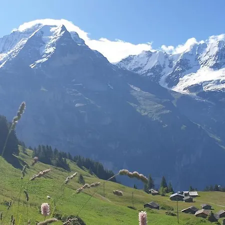 Restaurant Sonnenberg * Murren