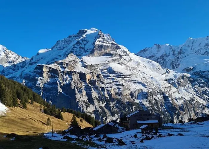 Sonnenberg *