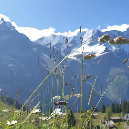 Hotel Restaurant Sonnenberg Mürren