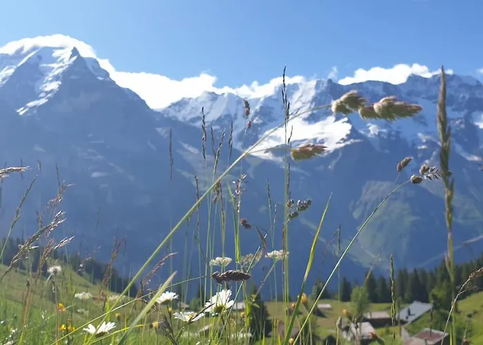 Hotel Sonnenberg Murren